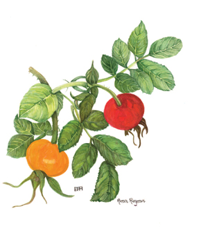 Arts South Northamptonshire logo