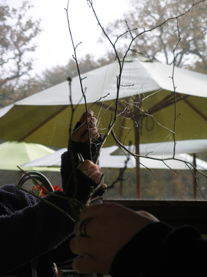 Weaving wire webs in Salcey Forest