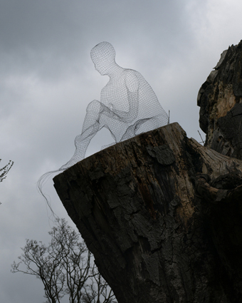 Body Weave IV at Burghley Sculpture Garden