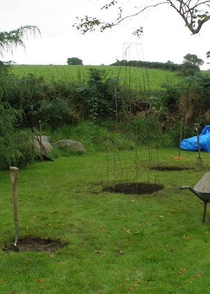 Digging holes and installing the sculpture