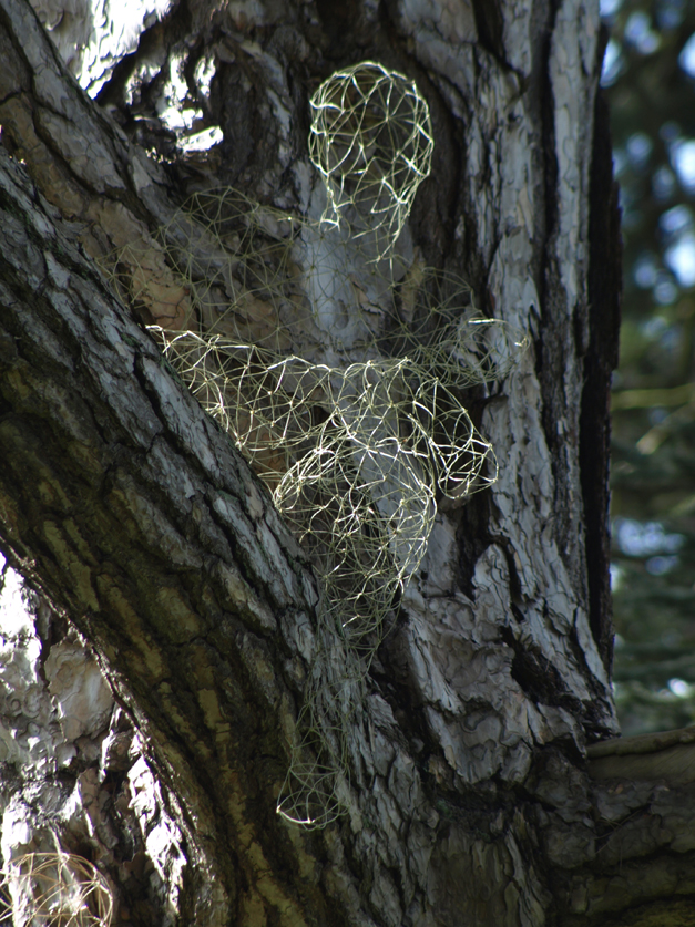 Pine needle figure VIII