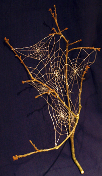 Webs on a branch