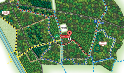 Salcey Forest, NN7 2HA