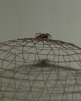 Head weave with spider - close-up